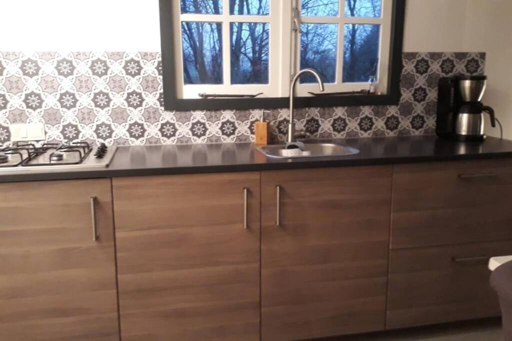 Chalet Het Wollinghuisje Vlagtwedde Extérieur photo
